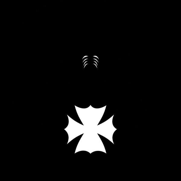 ES3spider03BW Thumbnail