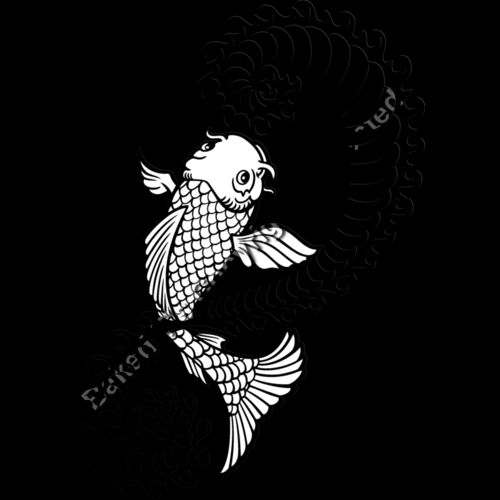 ES3asiankoi07bw Thumbnail