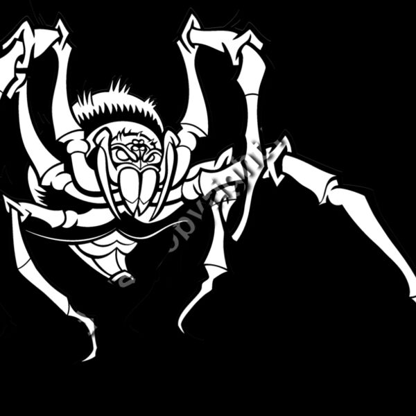 ES3spider05BW Thumbnail