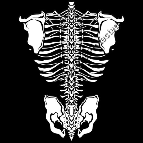 ES3bones01BW Thumbnail