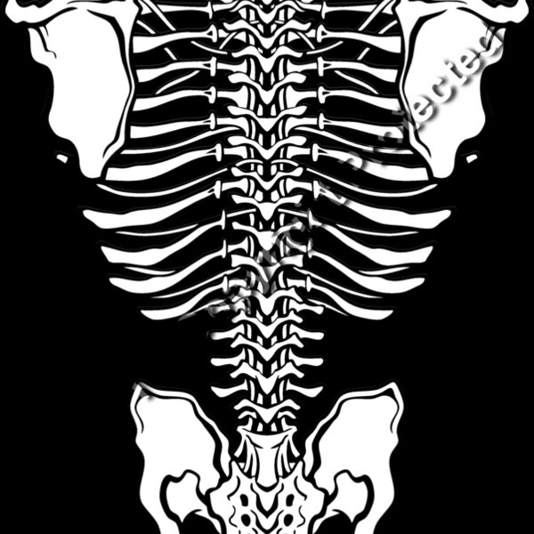 ES3bones01BW Thumbnail