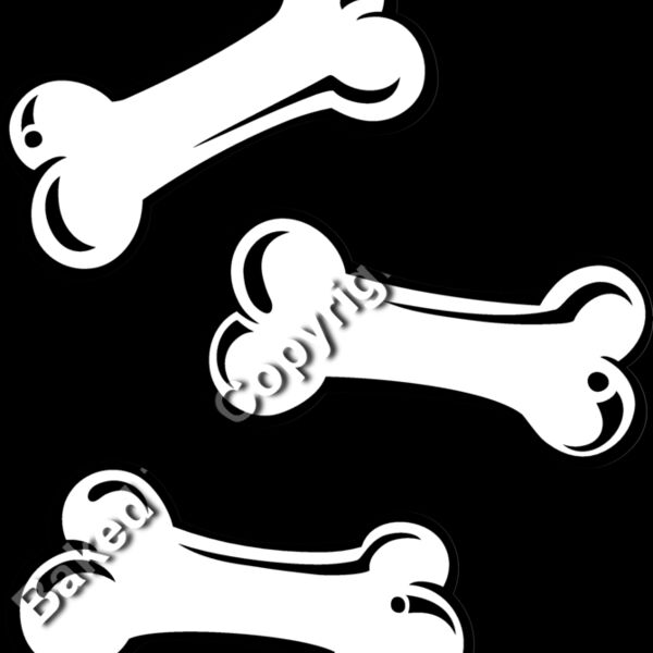 ES3bones02bw Thumbnail