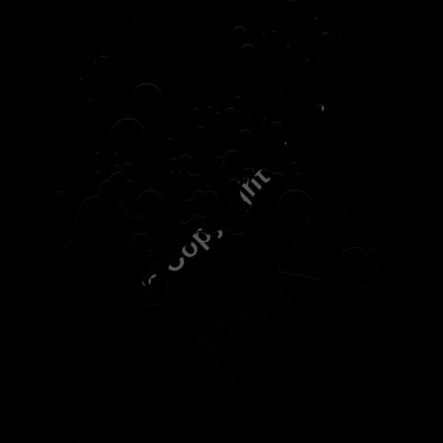 ES3splat04bw Thumbnail