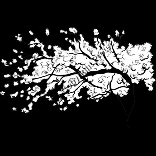 ES3cherryblsm01bw Thumbnail