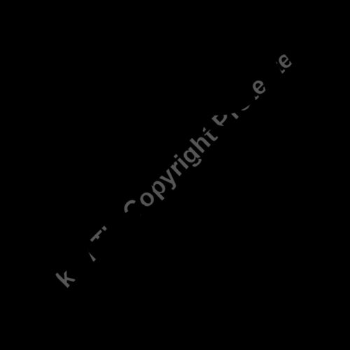 es3spider06bw Thumbnail