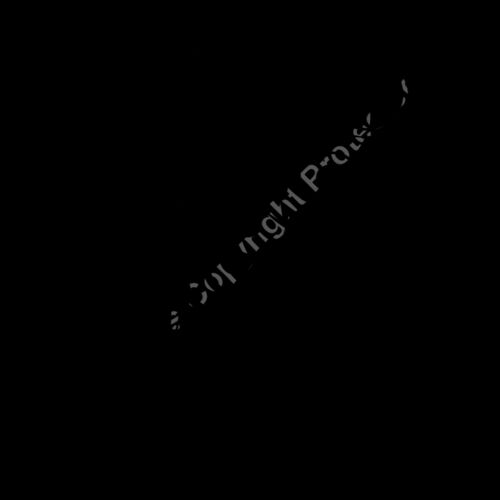 ES3tribal06bw Thumbnail