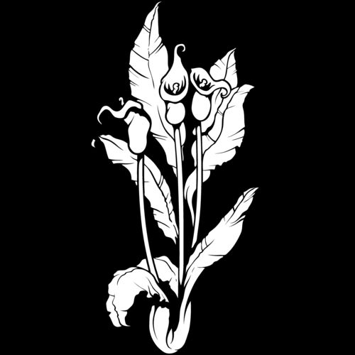 ES3flower07bw Thumbnail