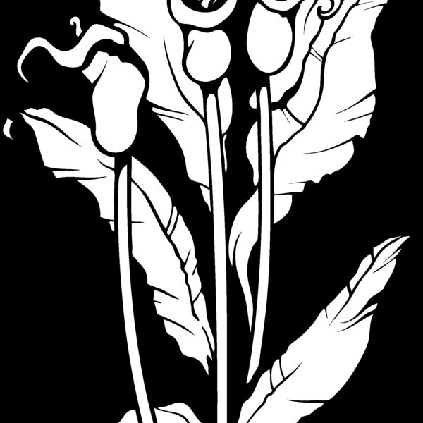 ES3flower07bw Thumbnail