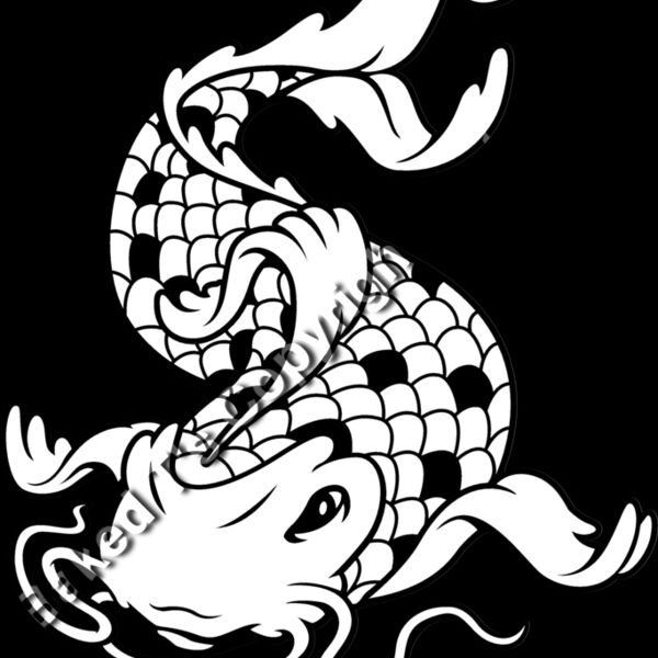 es3asiankoi09bw Thumbnail