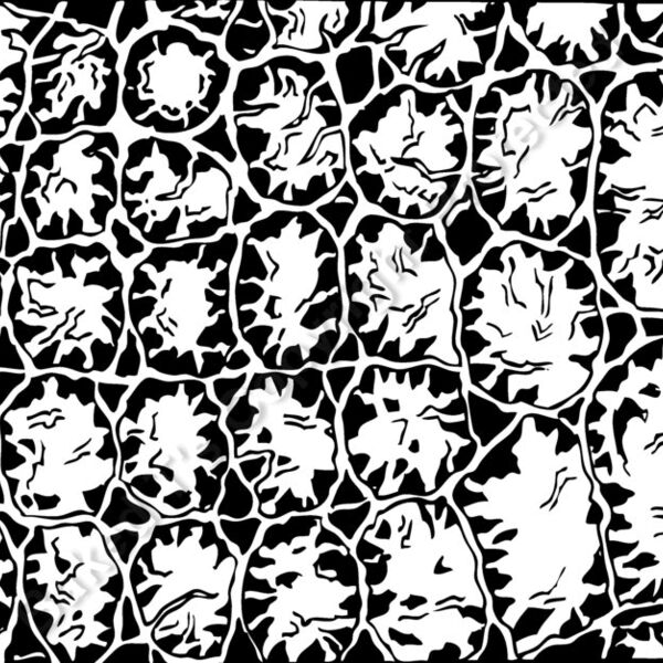 ES3texture06BW Thumbnail