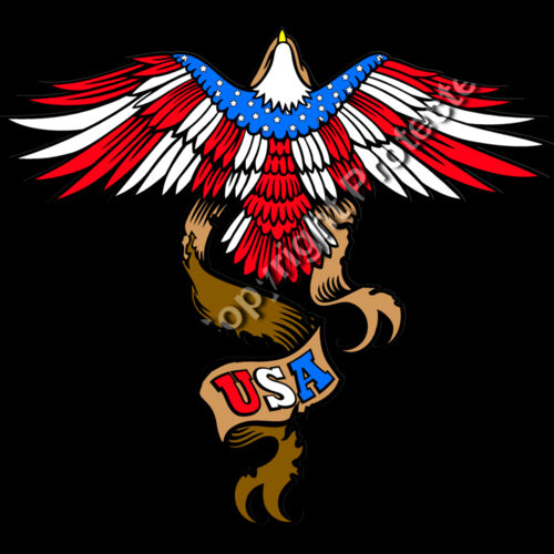 ES3patriotic07clr Thumbnail