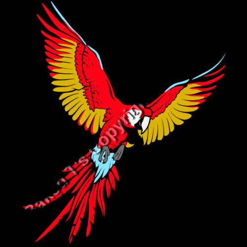 ES3parrot01clr Thumbnail