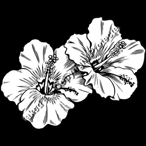 ES3tropical02bw Thumbnail