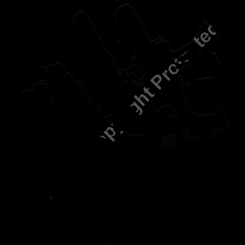 ES3splat09bw Thumbnail