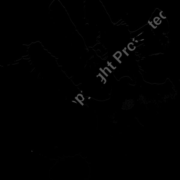 ES3splat09bw Thumbnail