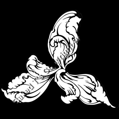 ES3flower03bw Thumbnail