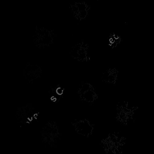 ES3splat01bw Thumbnail