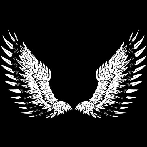 ES3wing10BW Thumbnail