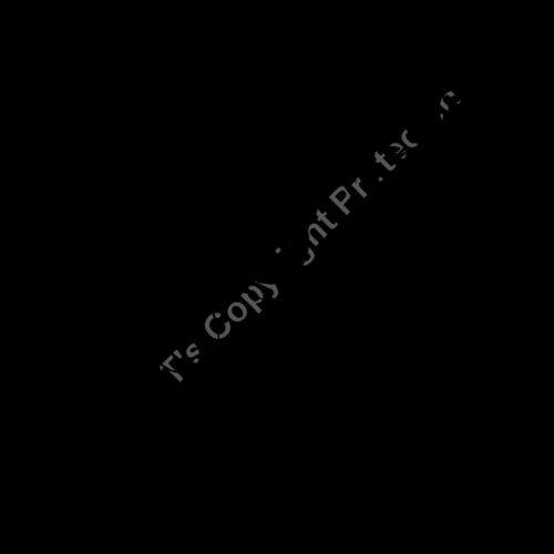 ES3tribal11bw Thumbnail