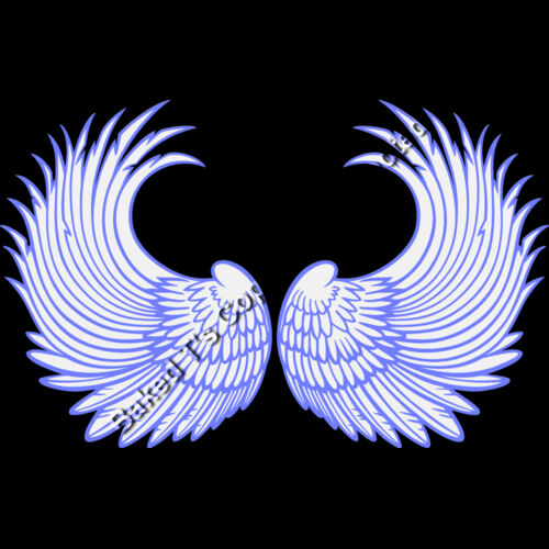 ES3wing03clr Thumbnail