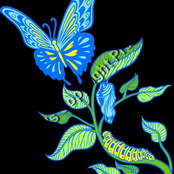 ES3butterfly05clr Thumbnail