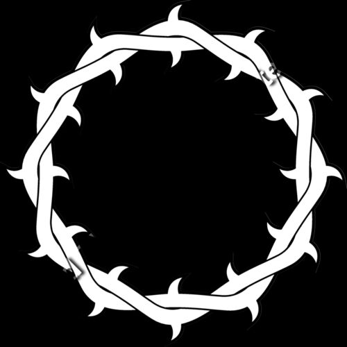 es3thorns03bw Thumbnail