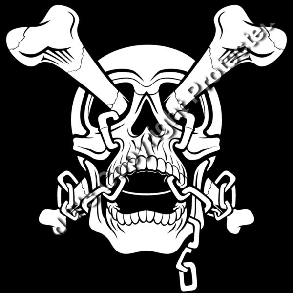 ES3skull17BW Thumbnail