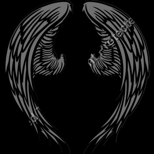 ES3wing06clr Thumbnail