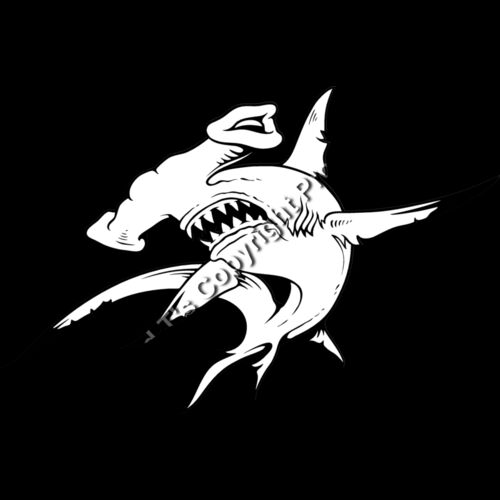 ES3shark01bw Thumbnail