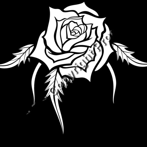 ES3rose03BW Thumbnail