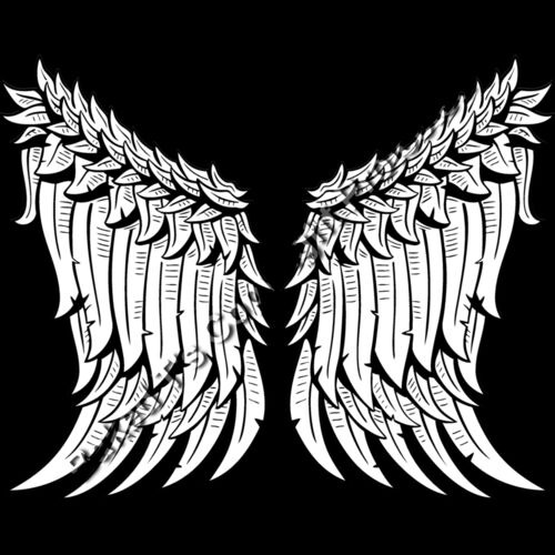 ES3wing01BW Thumbnail