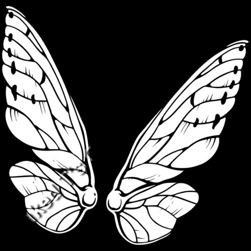 ES3wing04bw Thumbnail