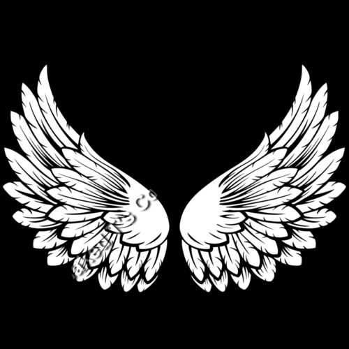 ES3wing15bw Thumbnail