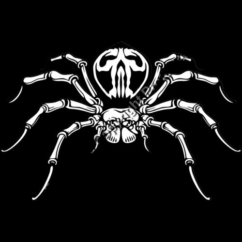 es3spider04bw Thumbnail