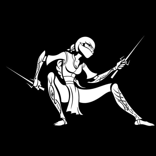 ES3ninja01BW Thumbnail