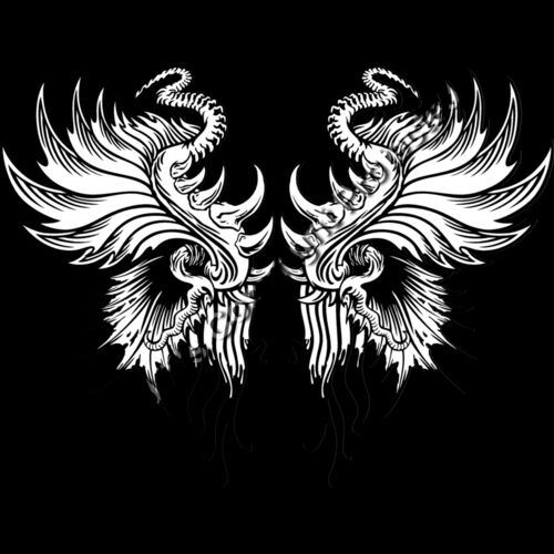 ES3wing13bw Thumbnail