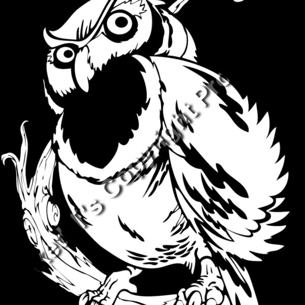 ES3owl02bw Thumbnail