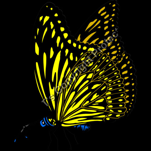 ES3butterfly01clr Thumbnail