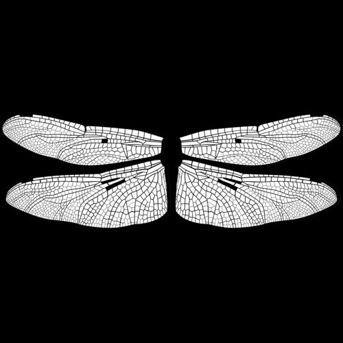 ES3wing14bw Thumbnail
