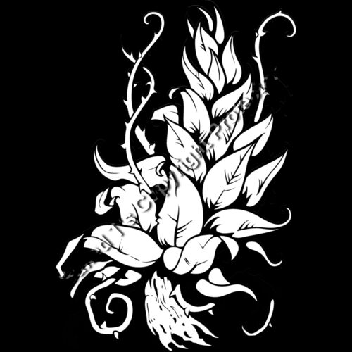 ES3leaves05bw Thumbnail