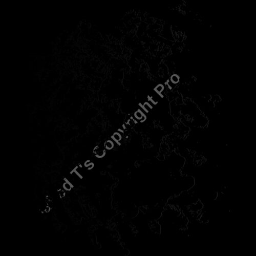 ES3splat16bw Thumbnail