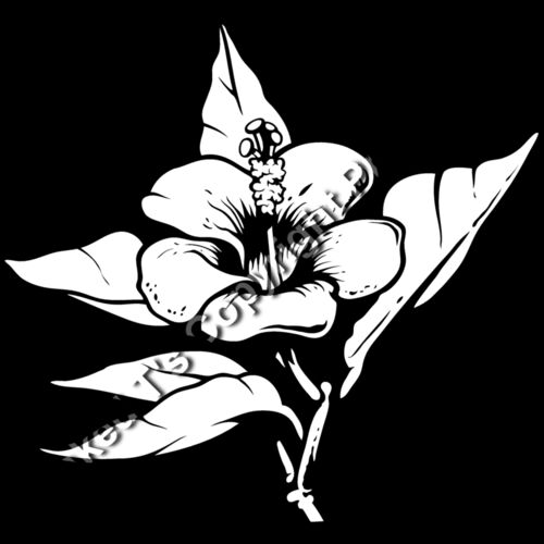 ES3tropical01bw Thumbnail