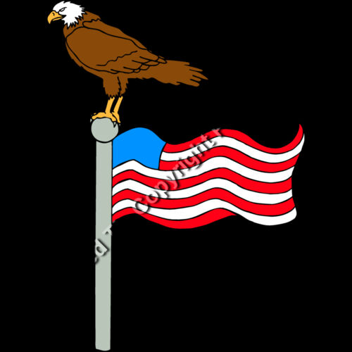 EAGLENFLAG1 Thumbnail