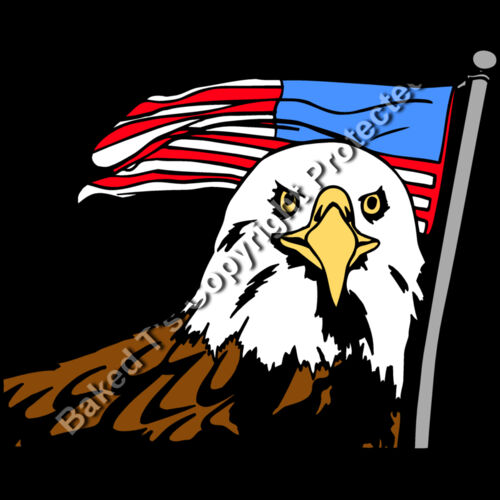 EagleAndFlag1 Thumbnail