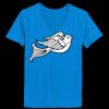 Ladies’  Junior Fine Jersey V-Neck Longer Length T-Shirt Thumbnail